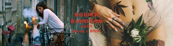 крисы Ростов