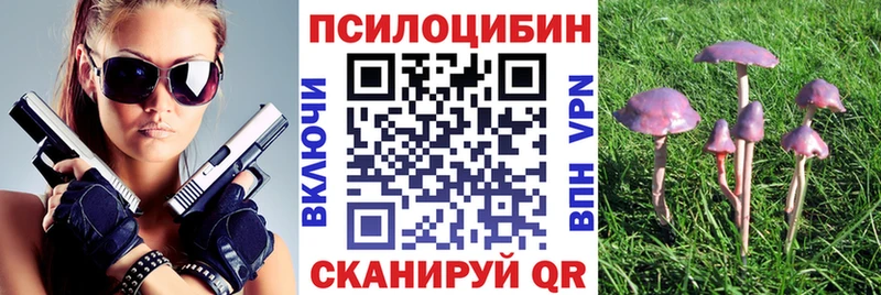 где можно купить   hydra вход  Галлюциногенные грибы MAGIC MUSHROOMS  Старая Купавна 