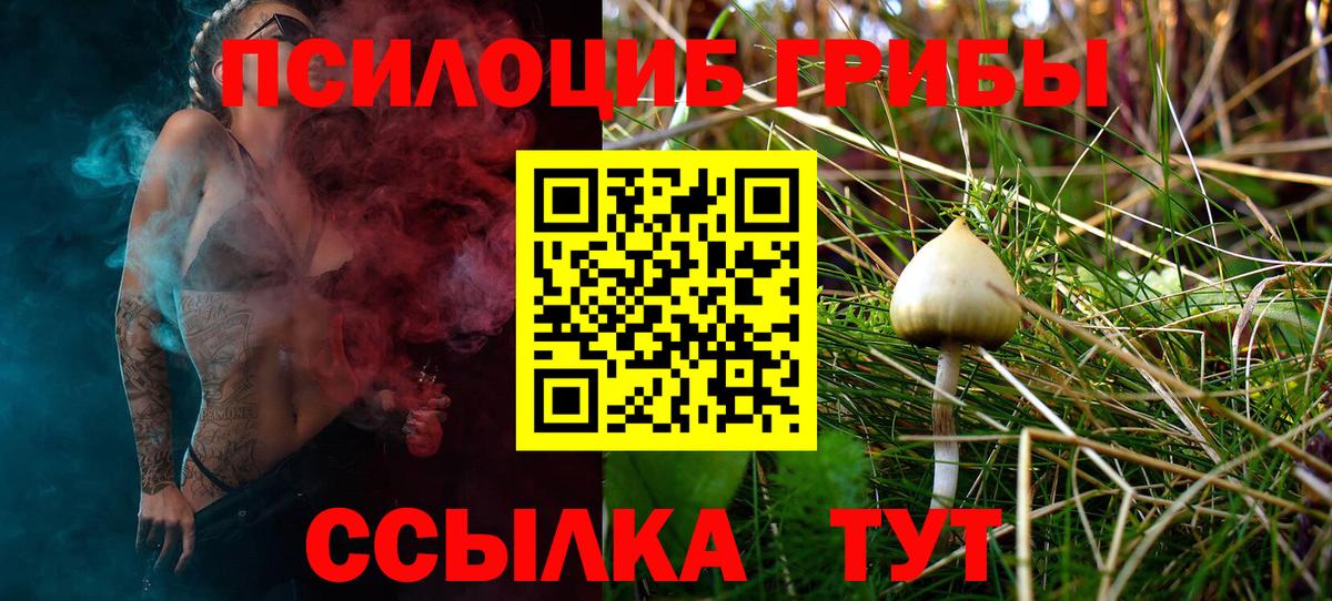 Старая Купавна  Псилоцибиновые грибы Psilocybine cubensis  купить наркоту  Вход с VPN 