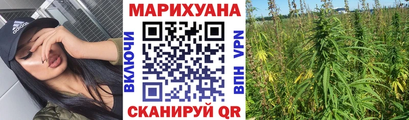 купить наркоту  Старая Купавна  Конопля Bruce Banner 